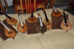 Various lyras