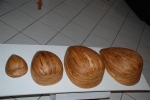 Various Instrument's Bodies from olive wood