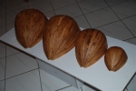 Various Instrument's Bodies from olive wood