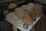 Various molds