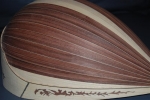Mandolin body (carved strips)