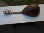 Black Mulberry Mandolin (> 500 years old)