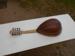 Black Mulberry Mandolin (> 500 years old)