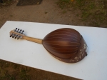 Black Mulberry Mandolin (> 500 years old)