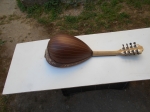 Black Mulberry Mandolin (> 500 years old)